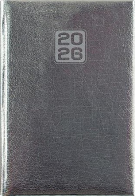 Naptár, tervező, A5, napi, DAYLINER, "Mirror", ezüst