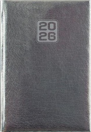 Naptár, tervező, A5, napi, DAYLINER, "Mirror", ezüst